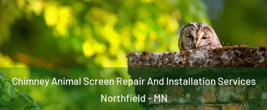  Chimney Animal Screen Repair And Installation Services Northfield - MN