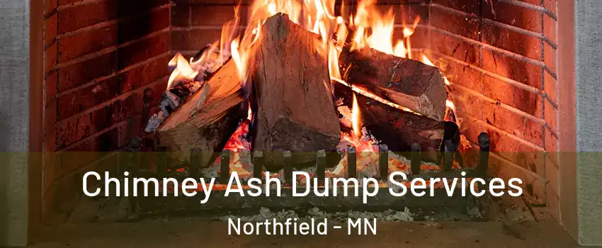  Chimney Ash Dump Services Northfield - MN