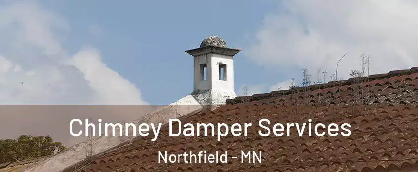  Chimney Damper Services Northfield - MN