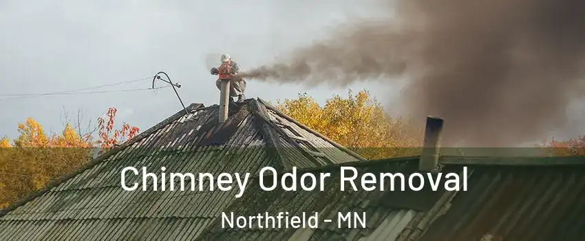  Chimney Odor Removal Northfield - MN
