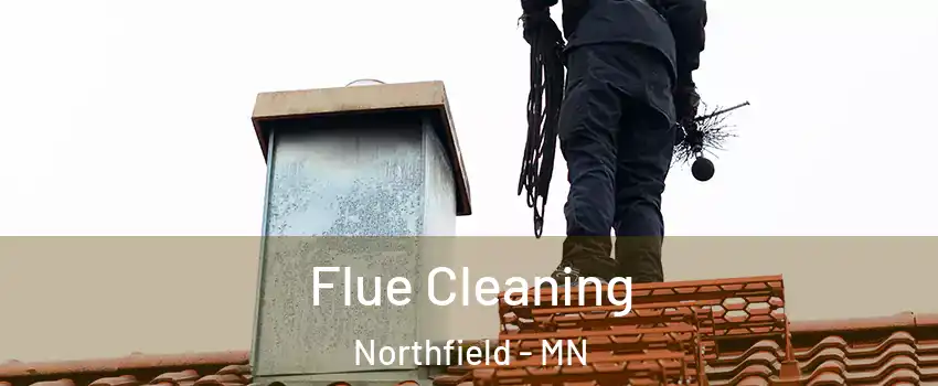  Flue Cleaning Northfield - MN