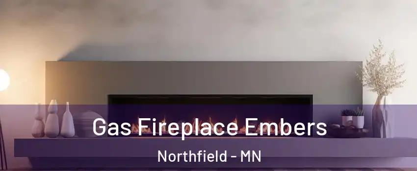  Gas Fireplace Embers Northfield - MN