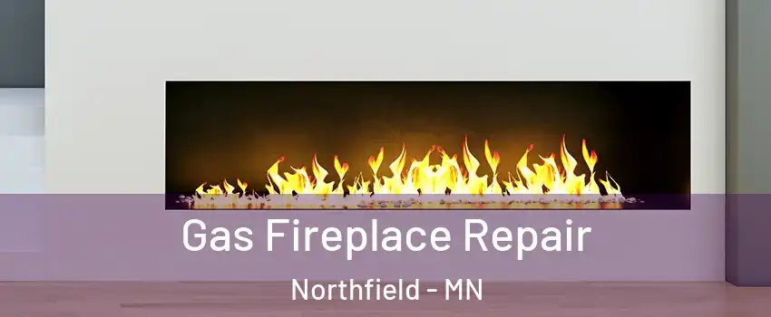  Gas Fireplace Repair Northfield - MN