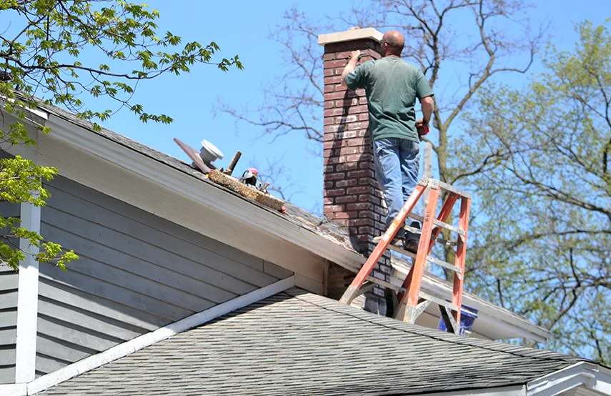 Chimney & Fireplace Inspections Services in Northfield, MN