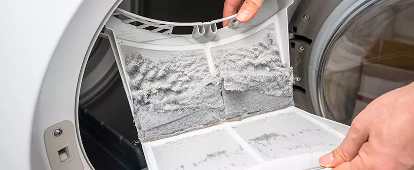 Best Dryer Lint Removal Company in Northfield, Minnesota