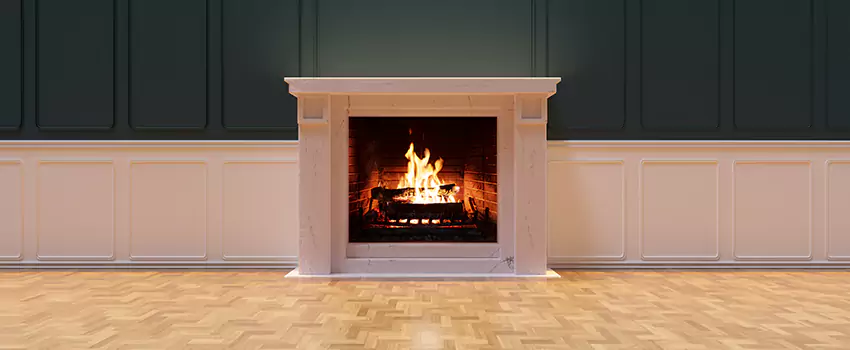 Napoleon Electric Fireplaces Inspection Service in Northfield, Minnesota