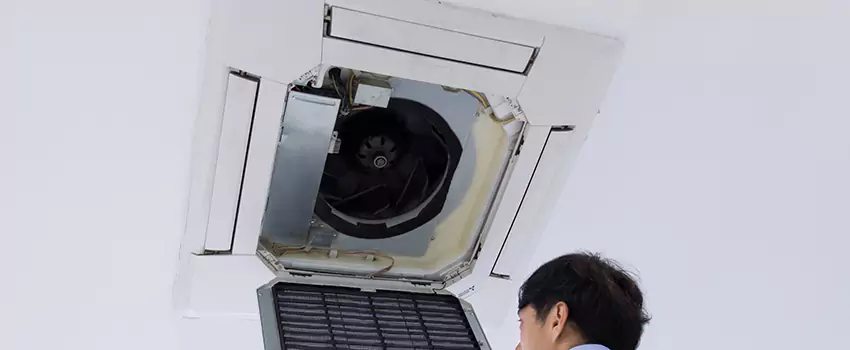 Benefits of Professional Air Duct Cleaning in Northfield, Minnesota