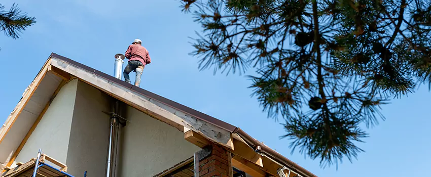 Birds Removal Contractors from Chimney in Northfield, MN