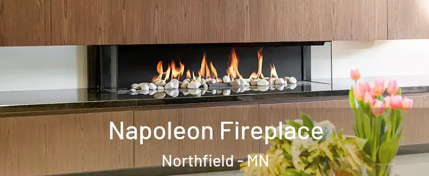  Napoleon Fireplace Northfield - MN