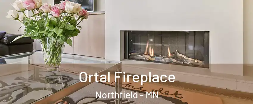 Ortal Fireplace Northfield - MN